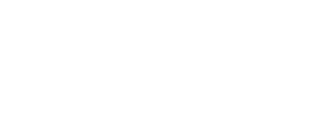Logos_Chamaleon BL