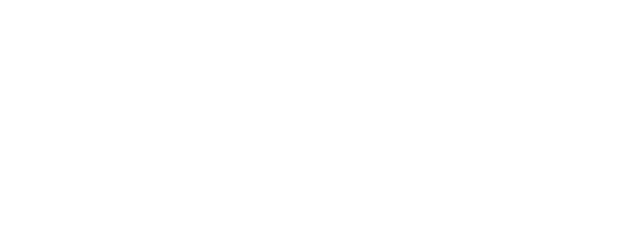 Logos_Liquid Ice BL